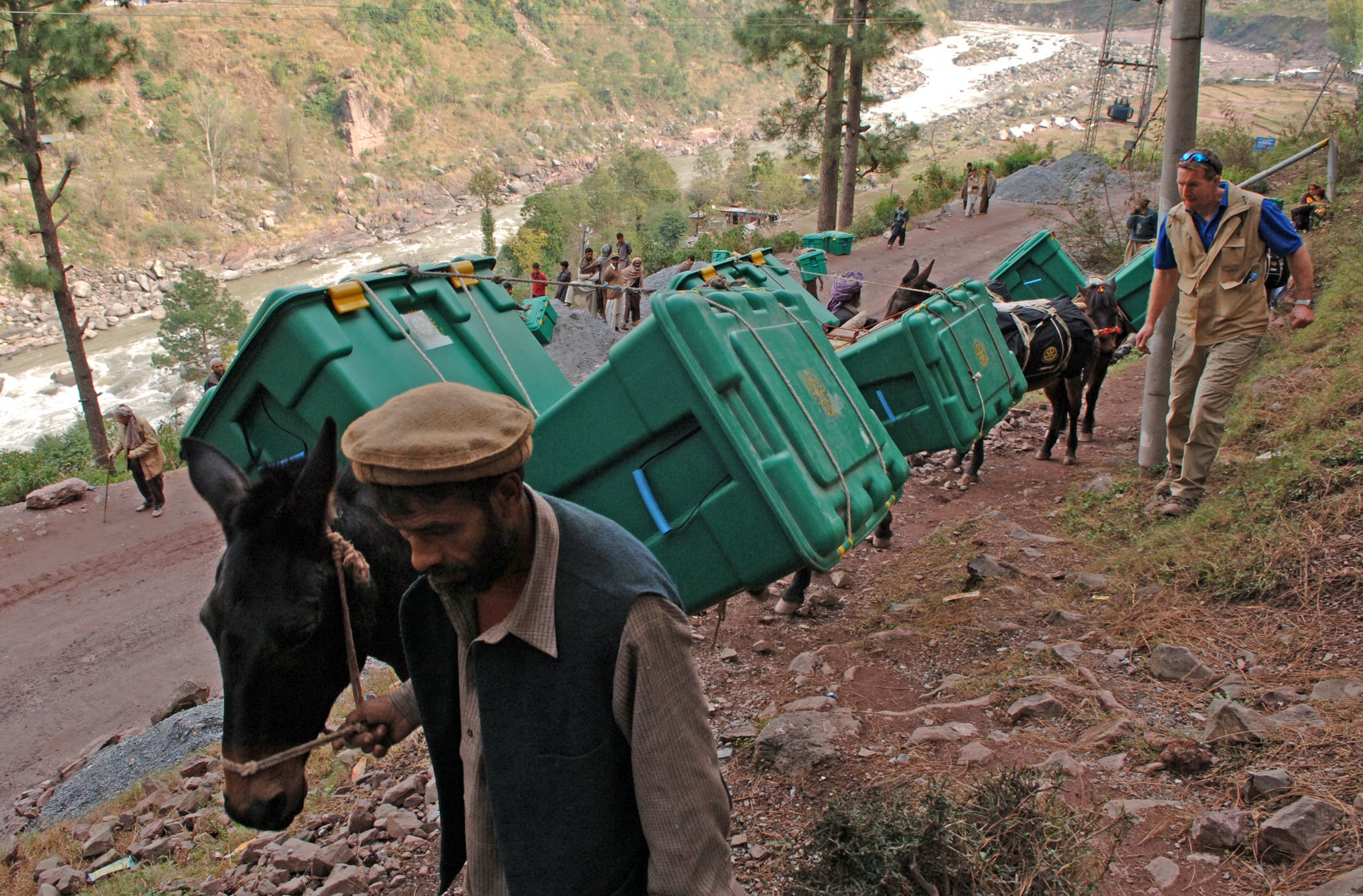 Mules carry shelter boxes up the mountain in Pakistan