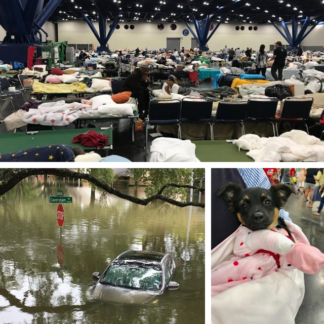 Images from ShelterBox show the impacts of Harvey - Sept 2017