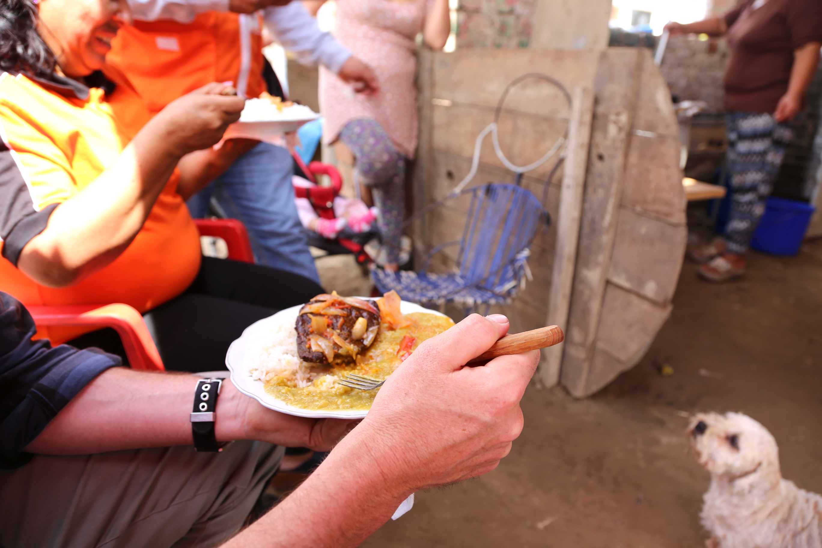 Photo of lunch with small dog waiting for a bite