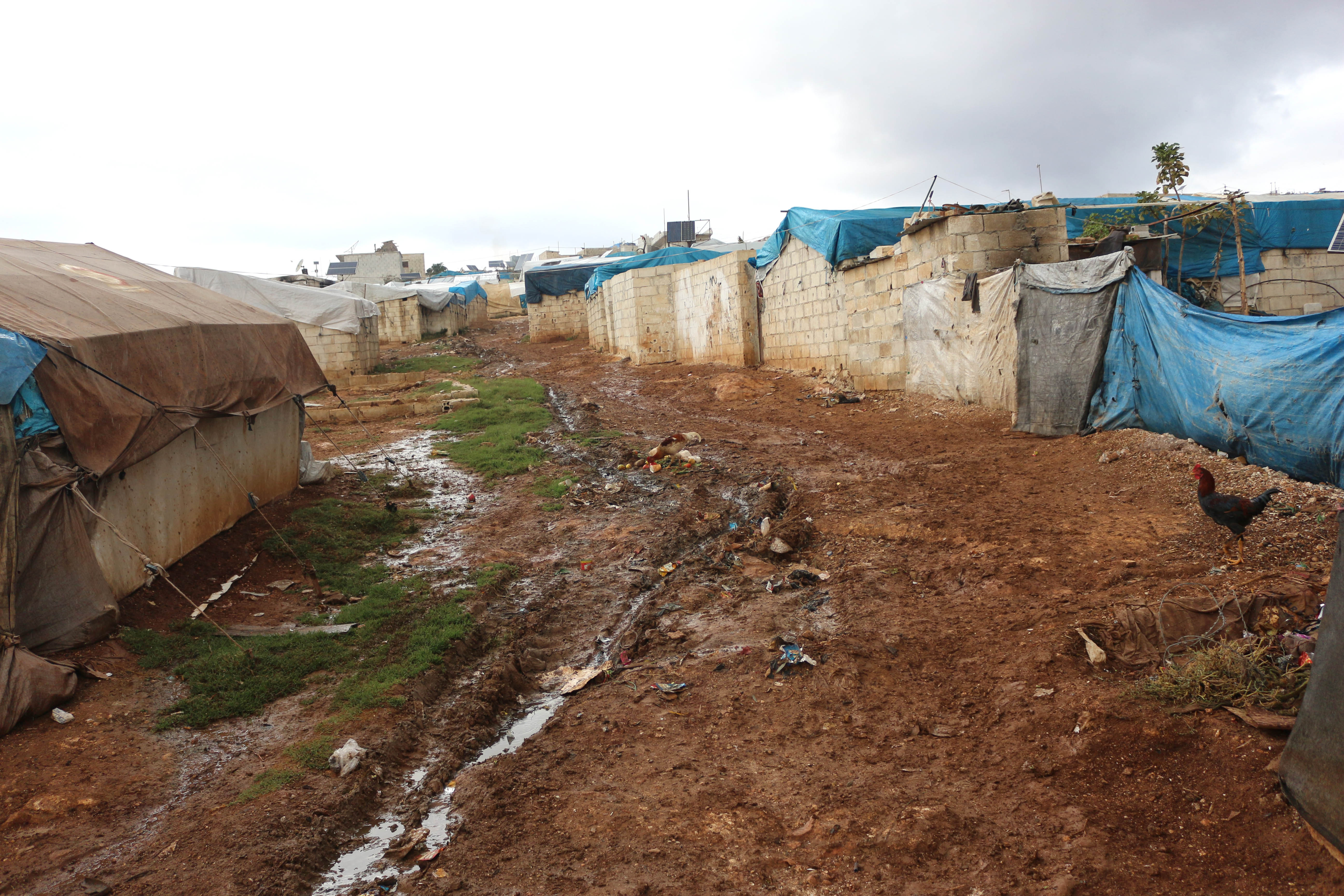 Harsh living conditions