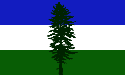 SAFE Cascadia Flag (Blue, White, and Green with a tree)