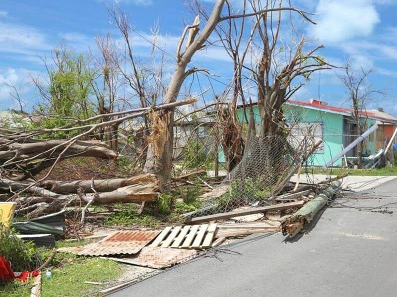 Winds carried structures of all kinds