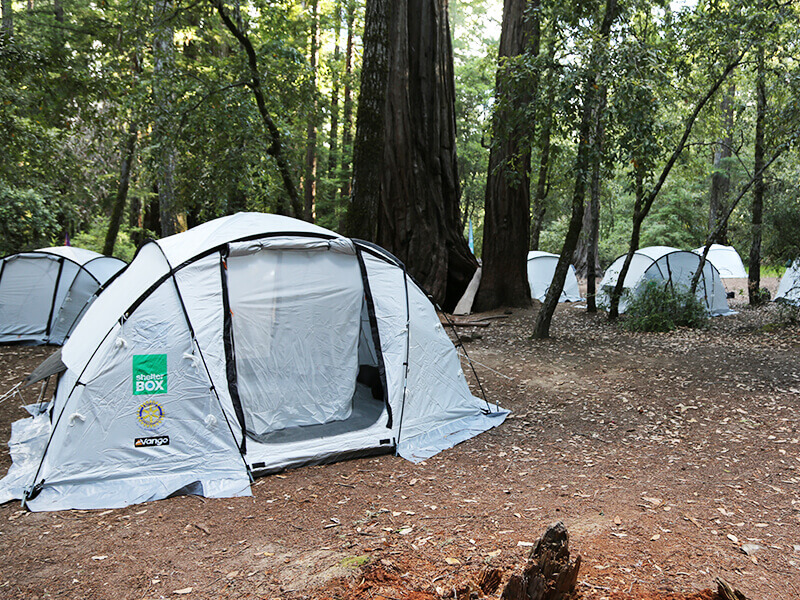 Tents in the forest