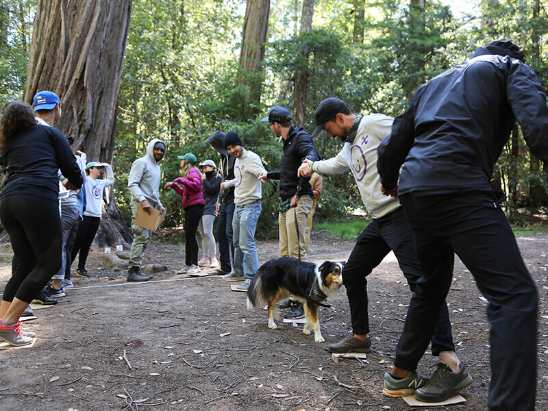 Everyone loves team building exercises