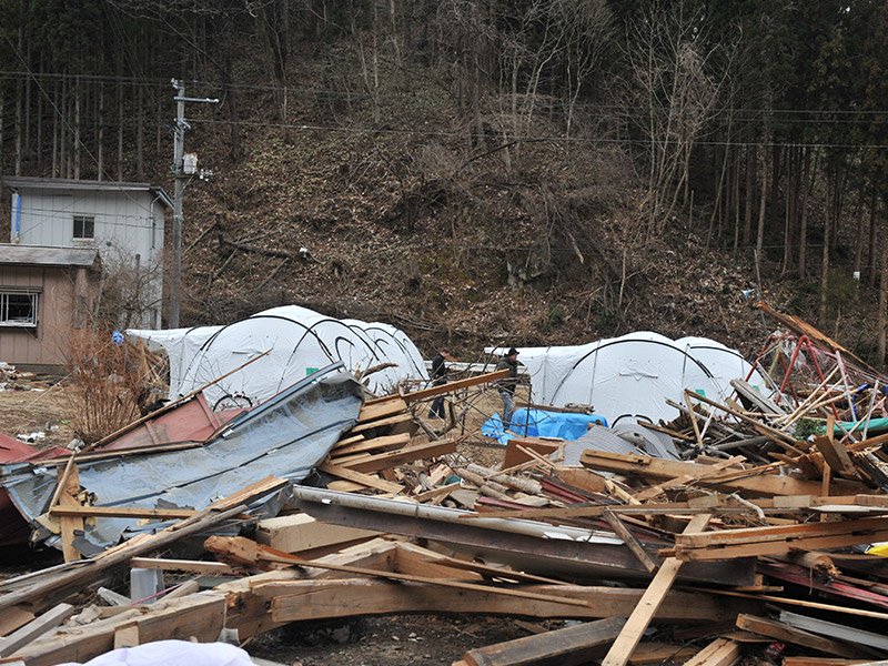 Wood scattered everywhere. Tents in the background