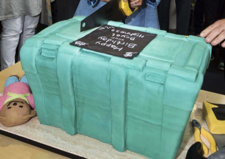 Green ShelterBox Cake