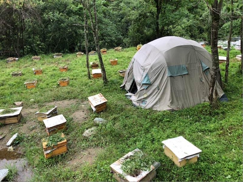 Old ShelterBox Tent in a field